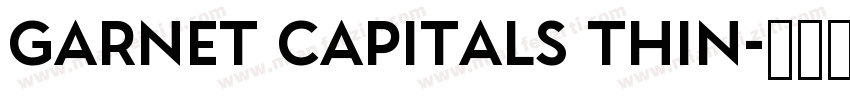 Garnet Capitals Thin字体转换